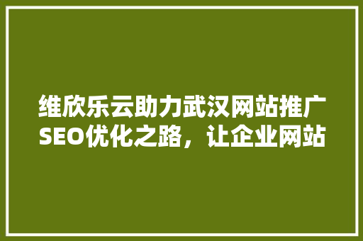 维欣乐云助力武汉网站推广SEO优化之路，让企业网站焕发活力