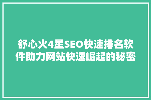 舒心火4星SEO快速排名软件助力网站快速崛起的秘密武器