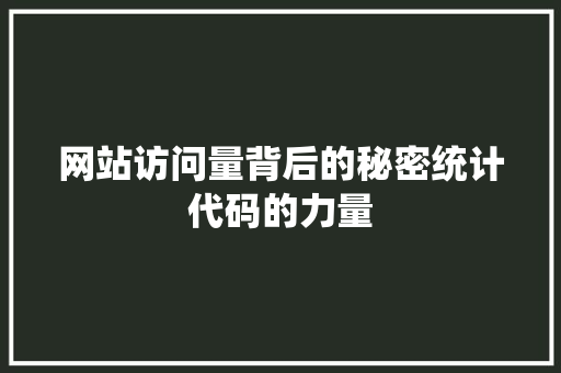 网站访问量背后的秘密统计代码的力量