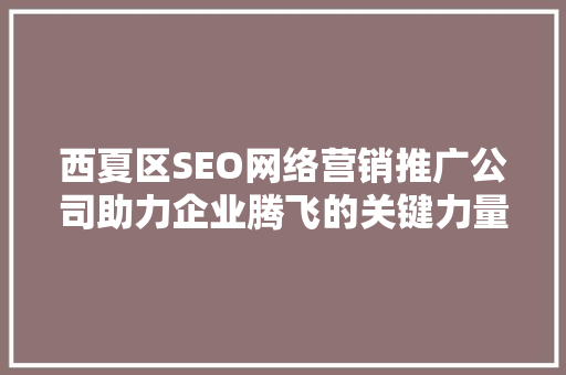 西夏区SEO网络营销推广公司助力企业腾飞的关键力量