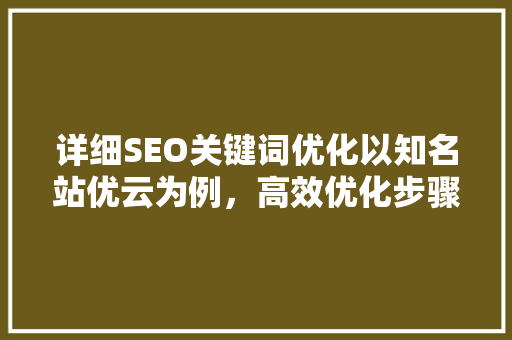 详细SEO关键词优化以知名站优云为例，高效优化步骤