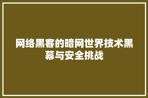 网络黑客的暗网世界技术黑幕与安全挑战