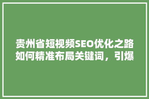 贵州省短视频SEO优化之路如何精准布局关键词，引爆流量