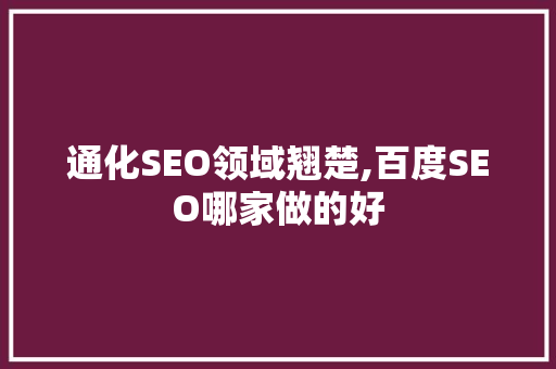 通化SEO领域翘楚,百度SEO哪家做的好