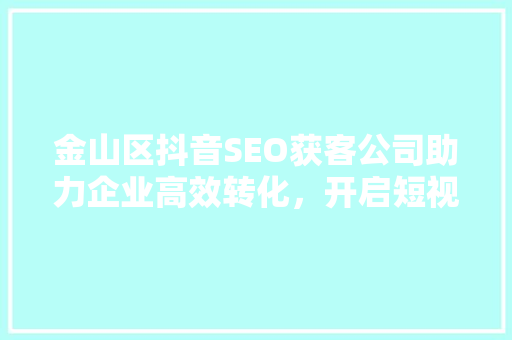 金山区抖音SEO获客公司助力企业高效转化，开启短视频营销新篇章