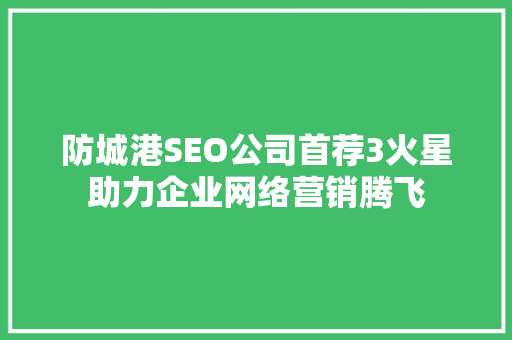 防城港SEO公司首荐3火星助力企业网络营销腾飞