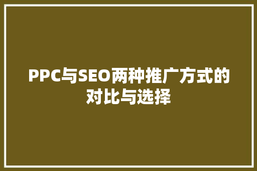 PPC与SEO两种推广方式的对比与选择