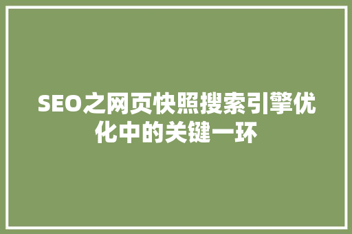 SEO之网页快照搜索引擎优化中的关键一环