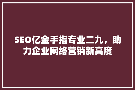 SEO亿金手指专业二九，助力企业网络营销新高度