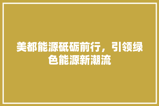 美都能源砥砺前行，引领绿色能源新潮流