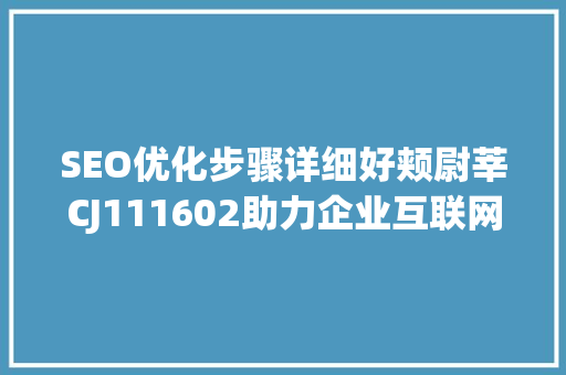 SEO优化步骤详细好颊尉莘CJ111602助力企业互联网营销
