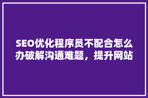 SEO优化程序员不配合怎么办破解沟通难题，提升网站排名
