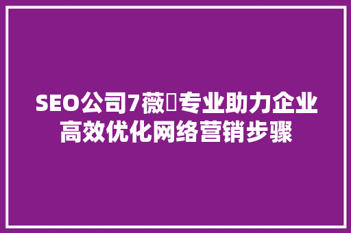 SEO公司7薇伈专业助力企业高效优化网络营销步骤