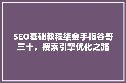 SEO基础教程柒金手指谷哥三十，搜索引擎优化之路