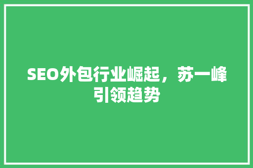 SEO外包行业崛起，苏一峰引领趋势