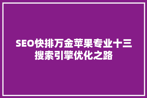 SEO快排万金苹果专业十三搜索引擎优化之路