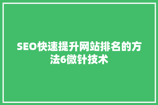 SEO快速提升网站排名的方法6微针技术