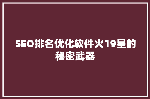 SEO排名优化软件火19星的秘密武器