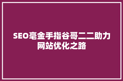 SEO毫金手指谷哥二二助力网站优化之路