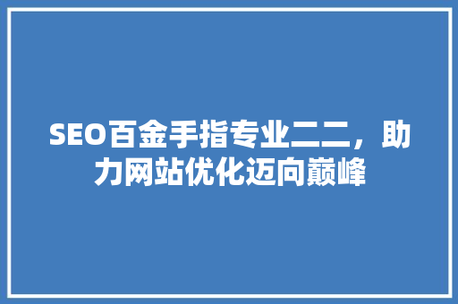 SEO百金手指专业二二，助力网站优化迈向巅峰