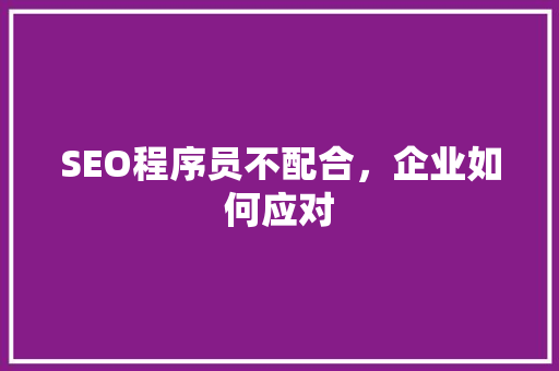 SEO程序员不配合，企业如何应对