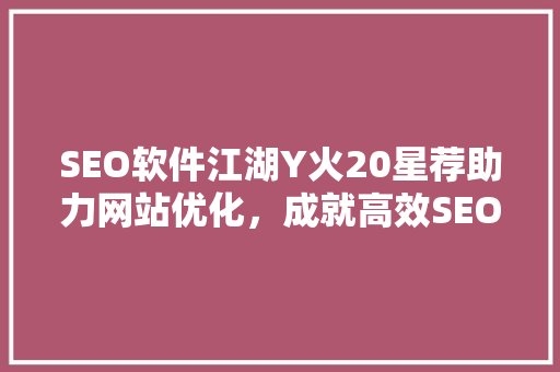 SEO软件江湖Y火20星荐助力网站优化，成就高效SEO步骤