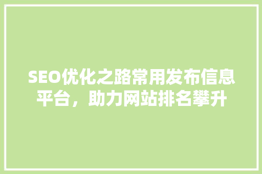 SEO优化之路常用发布信息平台，助力网站排名攀升