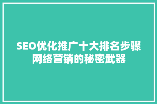 SEO优化推广十大排名步骤网络营销的秘密武器