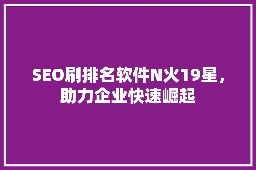 SEO刷排名软件N火19星，助力企业快速崛起