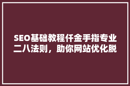SEO基础教程仟金手指专业二八法则，助你网站优化脱颖而出