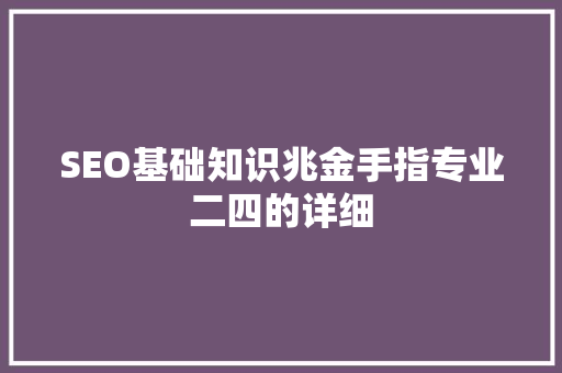 SEO基础知识兆金手指专业二四的详细