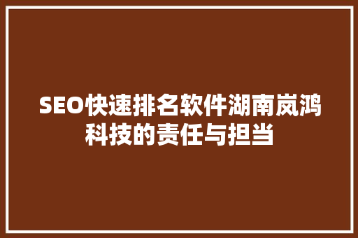 SEO快速排名软件湖南岚鸿科技的责任与担当
