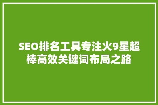 SEO排名工具专注火9星超棒高效关键词布局之路