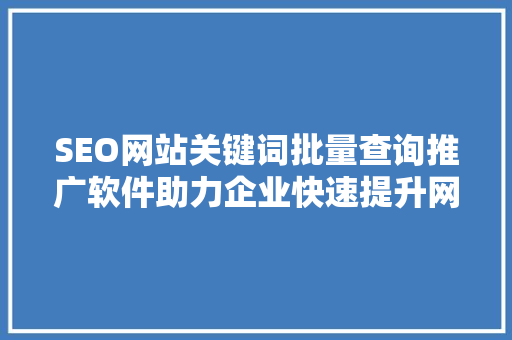 SEO网站关键词批量查询推广软件助力企业快速提升网站排名的秘密武器