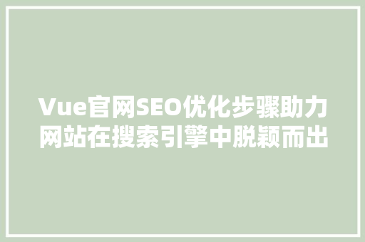 Vue官网SEO优化步骤助力网站在搜索引擎中脱颖而出