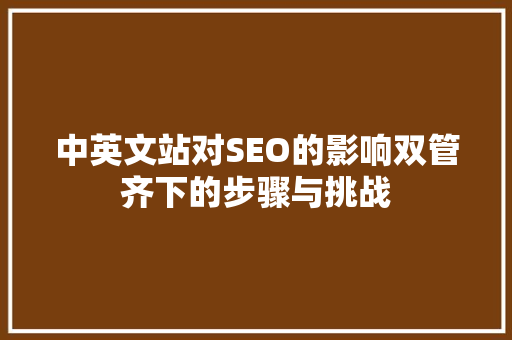 中英文站对SEO的影响双管齐下的步骤与挑战
