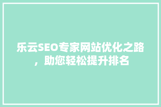 乐云SEO专家网站优化之路，助您轻松提升排名