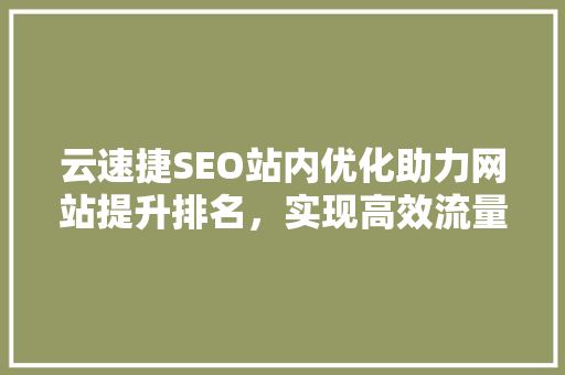 云速捷SEO站内优化助力网站提升排名，实现高效流量转化