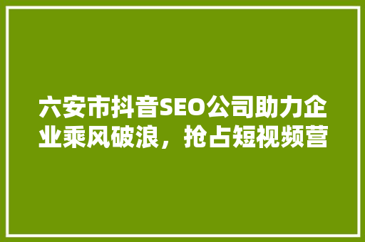 六安市抖音SEO公司助力企业乘风破浪，抢占短视频营销高地