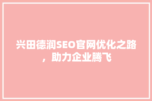 兴田德润SEO官网优化之路，助力企业腾飞