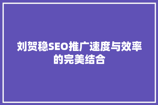 刘贺稳SEO推广速度与效率的完美结合