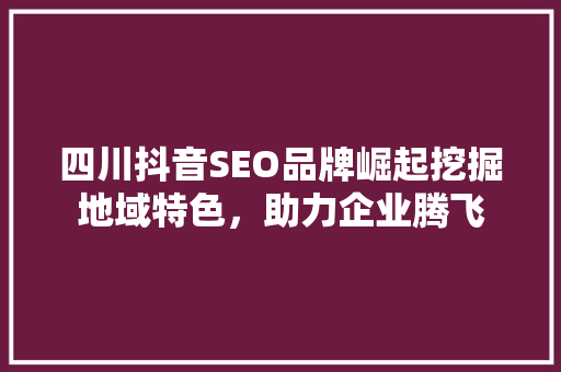 四川抖音SEO品牌崛起挖掘地域特色，助力企业腾飞
