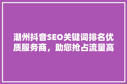 潮州抖音SEO关键词排名优质服务商，助您抢占流量高地