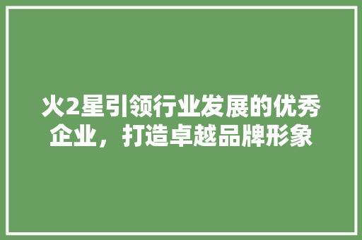 火2星引领行业发展的优秀企业，打造卓越品牌形象