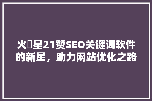 火乚星21赞SEO关键词软件的新星，助力网站优化之路