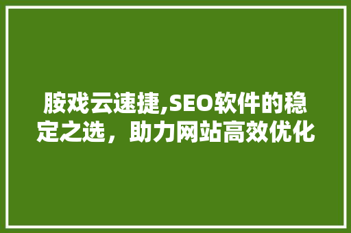 胺戏云速捷,SEO软件的稳定之选，助力网站高效优化
