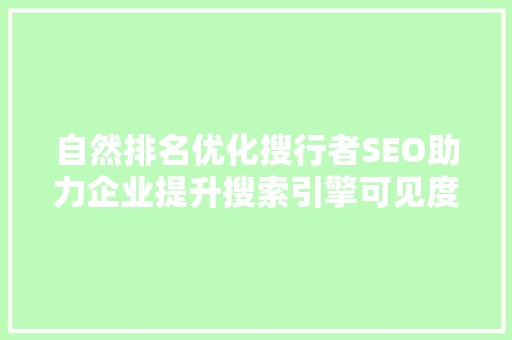 自然排名优化搜行者SEO助力企业提升搜索引擎可见度