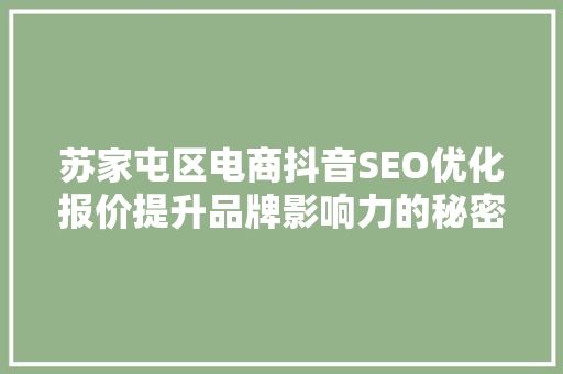苏家屯区电商抖音SEO优化报价提升品牌影响力的秘密武器