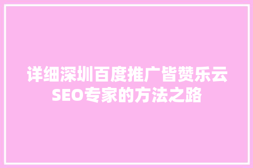 详细深圳百度推广皆赞乐云SEO专家的方法之路