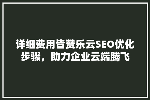 详细费用皆赞乐云SEO优化步骤，助力企业云端腾飞